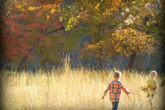 playing in the fields