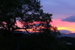 utopia sunrise