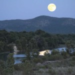 Harvest Moon Over the Nueces - Amy Sellers