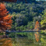 Reflections on Montell Creek