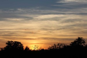 Utopia, Tx Sunrise