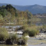 Charm of Nueces