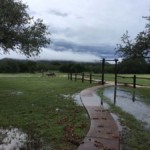 Neuces Canyon Calm During Flood