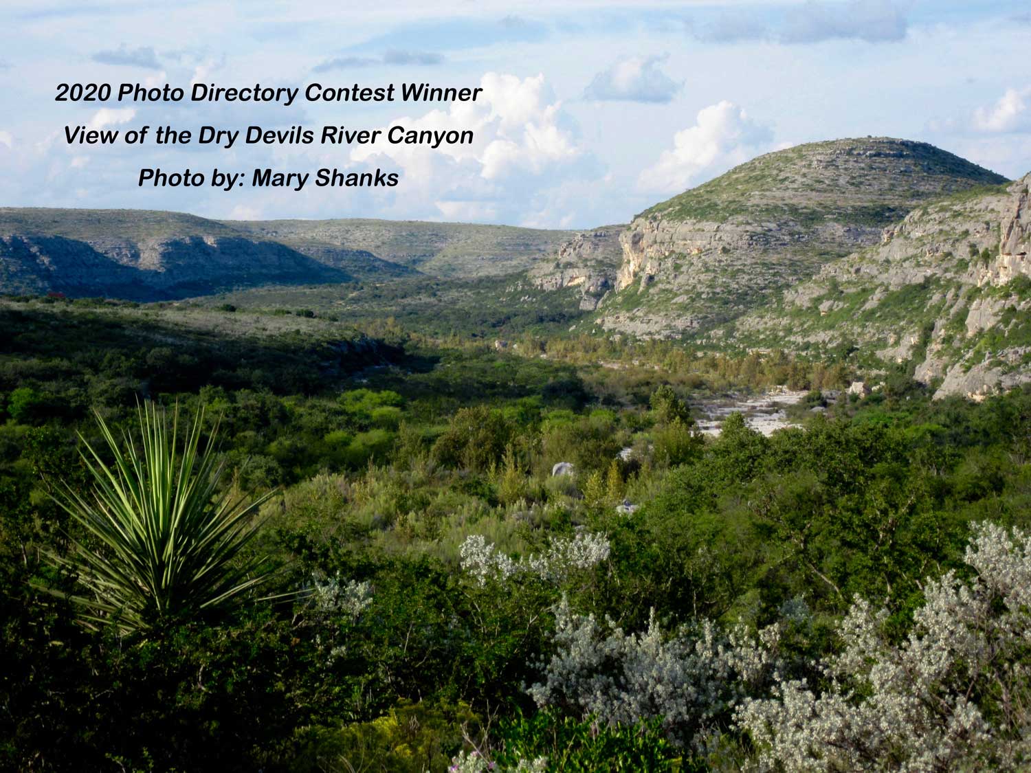 View of the Dry Devils River - 2020 Photo Contest Winner