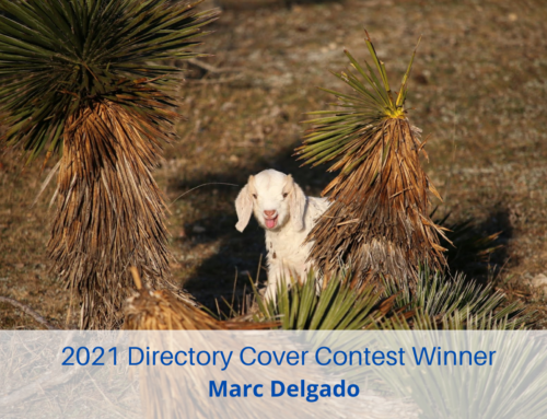 2021 Directory Cover Contest Submissions