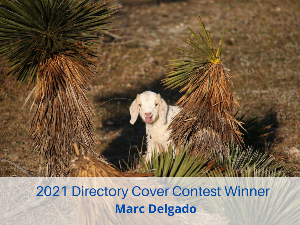 2021 Directory Cover Contest Winner Marc Delgado